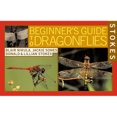 Stokes Beginner's Guide to Dragonflies