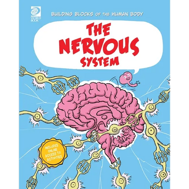 The Nervous System