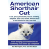 American Shorthair Cat: From bringing your kitten home to comforting your senior age companion