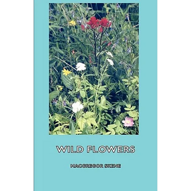 Wild Flowers