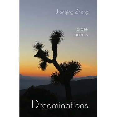 Dreaminations: Prose Poems