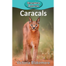 Caracals
