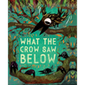 What the Crow Saw Below