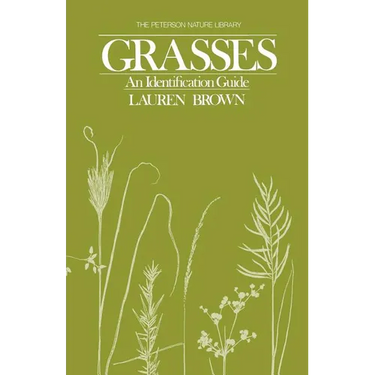 Grasses: An Identification Guide