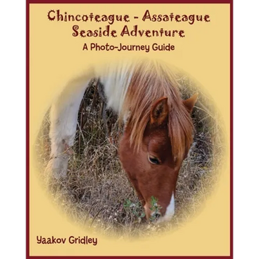 Chincoteague-Assateague Seaside Adventure: A Photo-Journey Guide