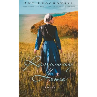 Runaway Home: A Contemporary Amish Romance