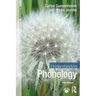 Understanding Phonology