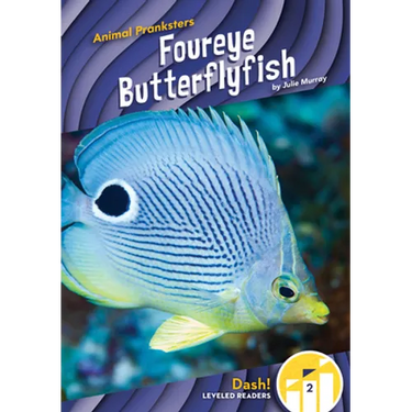 Foureye Butterflyfish