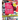 The Complete Guide for CRICUT Users: 4 Books in 1: A User's Guide for Beginners + Mastering Design Space + Project Ideas for Beginners + Project Ideas