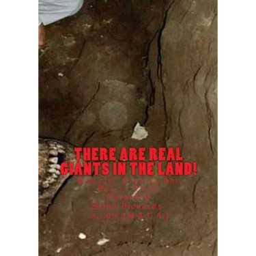 There Are Real Giants In The Land.: Biblical Stories Are Really True!