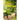 First to Find