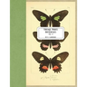 Vintage Prints: Butterflies: Vol. 4