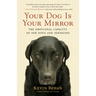 Your Dog Is Your Mirror: The Emotional Capacity of Our Dogs and Ourselves