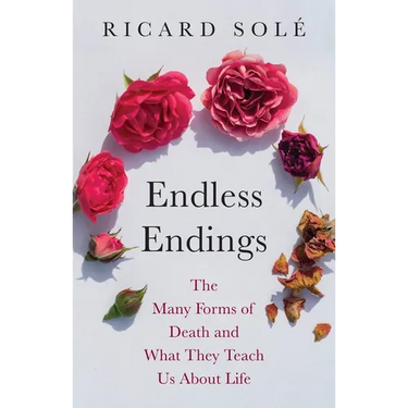 Endless Endings: The Many Forms of Death and What They Teach Us about Life