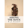 Among the Sioux
