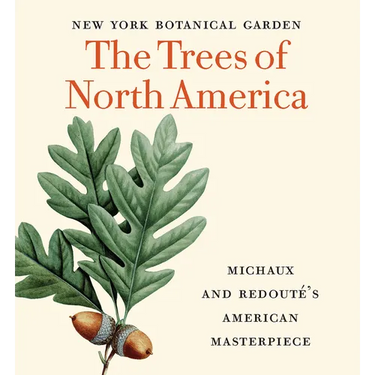 The Trees of North America: Michaux and Redouté's American Masterpiece (Tiny Folio)