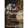 A Fool's Pilgrimage: It's never too late to come of age