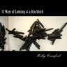 13 Ways of Looking at a Blackbird