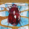 The Small hive beetle: a growing problem in the 21st century