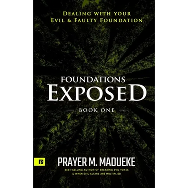 Foundations Exposed (Book 1): Dealing with your Evil & Faulty Foundation