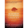 Raised from the Ground