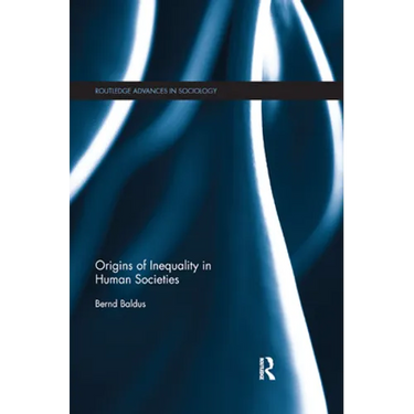 Origins of Inequality in Human Societies