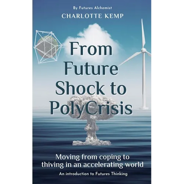 From Future Shock to PolyCrisis