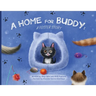 A Home for Buddy: A Foster Story