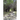 The Path Less Followed: The First Steps