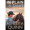 In Plain Sight