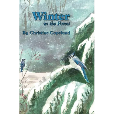 Winter in the Forest: A Seasons in the Forest Book