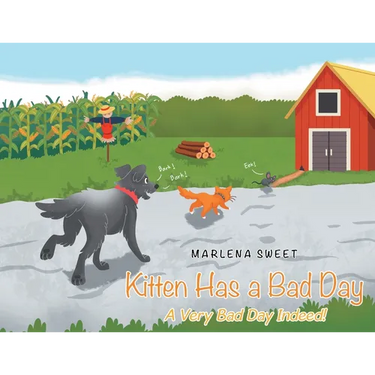 Kitten Has A Bad Day: A Very Bad Day Indeed!