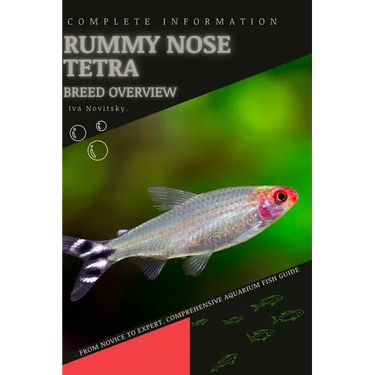 Rummy Nose Tetra: From Novice to Expert. Comprehensive Aquarium Fish Guide