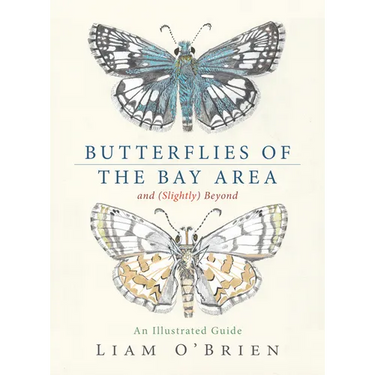 Butterflies of the Bay Area and (Slightly) Beyond: An Illustrated Guide