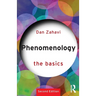 Phenomenology: The Basics