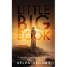 Little Big Book: Compilation of Poetic Writings and More