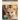 Fennec Fox: Fascinating Animal Facts for Kids