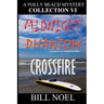 A Folly Beach Mystery Collection VI