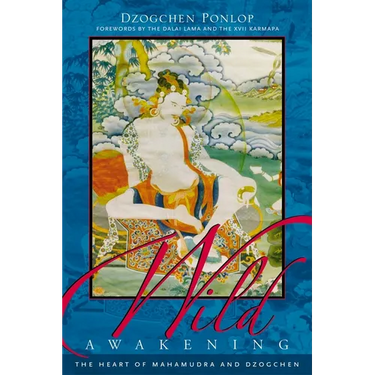 Wild Awakening: The Heart of Mahamudra & Dzogchen