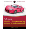 Professional Webgl Programming: Developing 3D Graphics for the Web