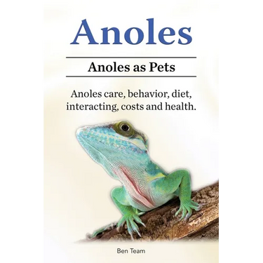 Anoles. Anoles as Pets. Anoles care, behavior, diet, interacting, costs and health.
