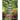 In My Father's Garden: 30 Day Devotional