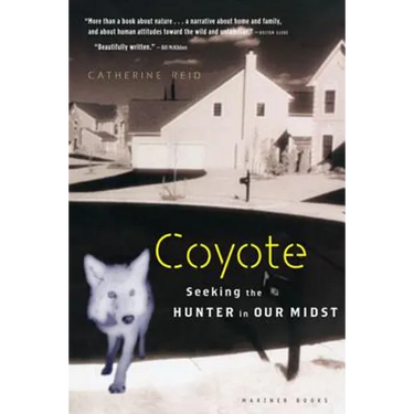 Coyote: Seeking the Hunter in Our Midst