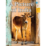 A Picture Of India