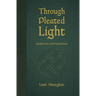 Through Pleated Light