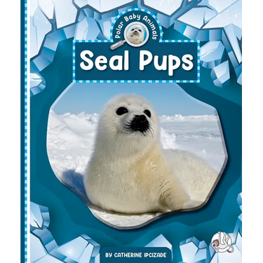 Seal Pups