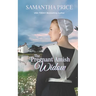 The Pregnant Amish Widow