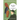 The Three Coffins
