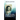 Surviving The Forest
