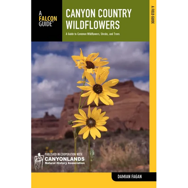 Canyon Country Wildflowers